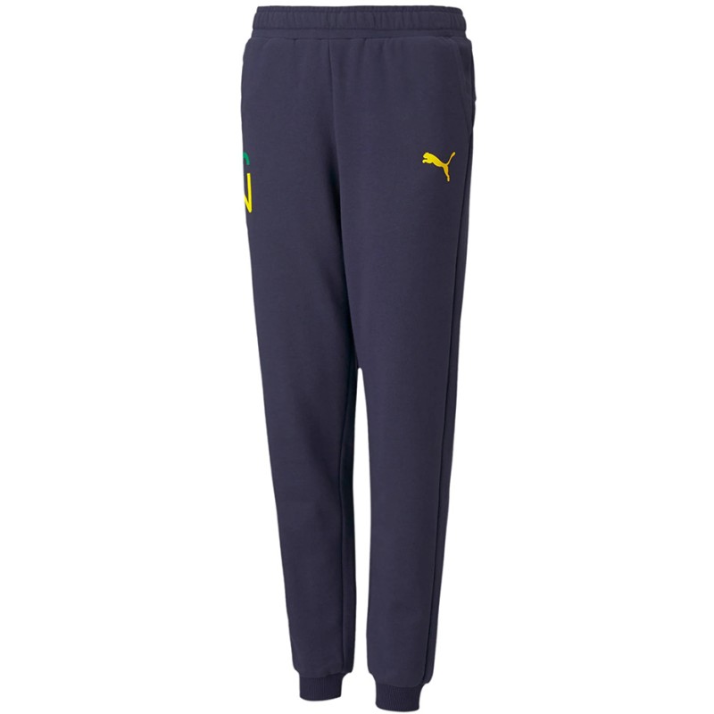 Spodnie dla dzieci Puma Neymar Jr Hero granatowe  605547 06