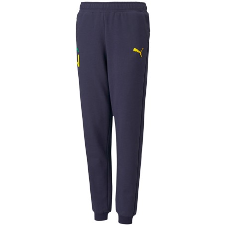 Spodnie dla dzieci Puma Neymar Jr Hero granatowe  605547 06
