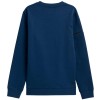 Bluza męska 4F denim H4Z21 BLM028 32S