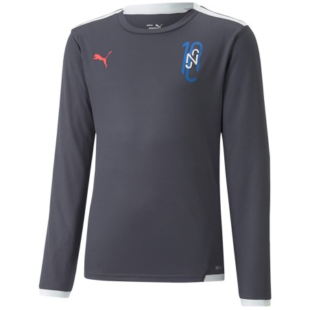 Koszulka dla dzieci Puma Neymar Jr szara 605597 07