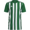 Koszulka męska adidas Striped 21 Jersey zielono-biała H35644