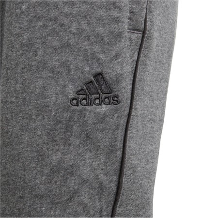 Spodnie dla dzieci adidas Core 18 Sweat JUNIOR szare CV3957