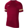 Koszulka męska Nike Dri-FIT Academy bordowa CW6101 677
