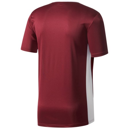 Koszulka męska adidas Entrada 18 Jersey bordowa CD8430