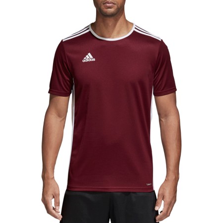 Koszulka męska adidas Entrada 18 Jersey bordowa CD8430