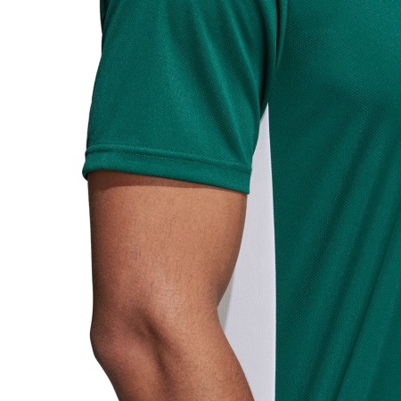 Koszulka męska adidas Entrada 18 Jersey zielona CD8358