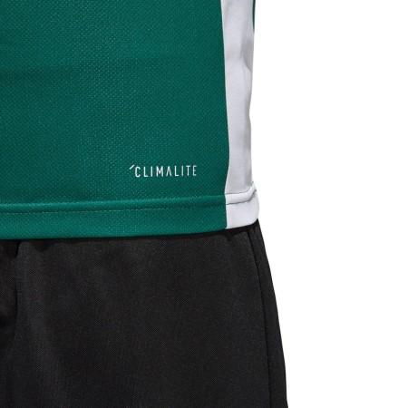 Koszulka męska adidas Entrada 18 Jersey zielona CD8358