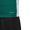 Koszulka męska adidas Entrada 18 Jersey zielona CD8358