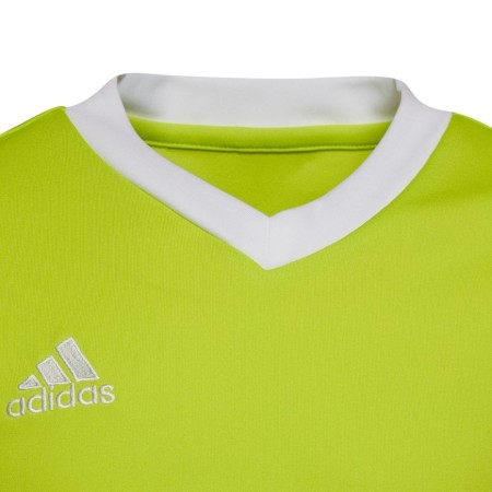 Koszulka dla dzieci adidas Entrada 22 Jersey limonkowa HC5079