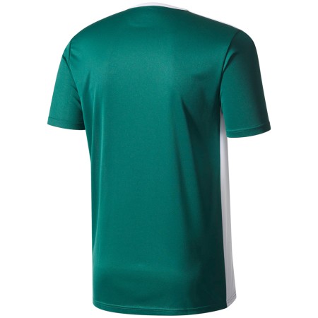 Koszulka dla dzieci adidas Entrada 18 Jersey JUNIOR zielona CD8358/CE9563