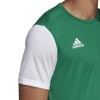 Koszulka dla dzieci adidas Estro 19 Jersey JUNIOR zielona DP3238/DP3216