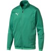 Bluza męska Puma Liga Training Jacket zielona 655687 05